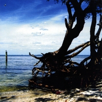 Matthew Anderson – ‘Merciless Ocean’ Album Review