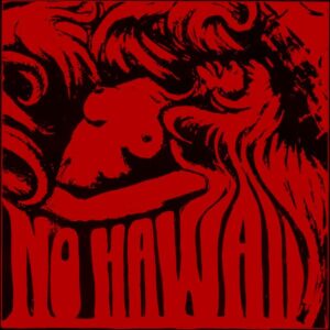 SonicAbuse | No Hawaii Speak To SonicAbuse