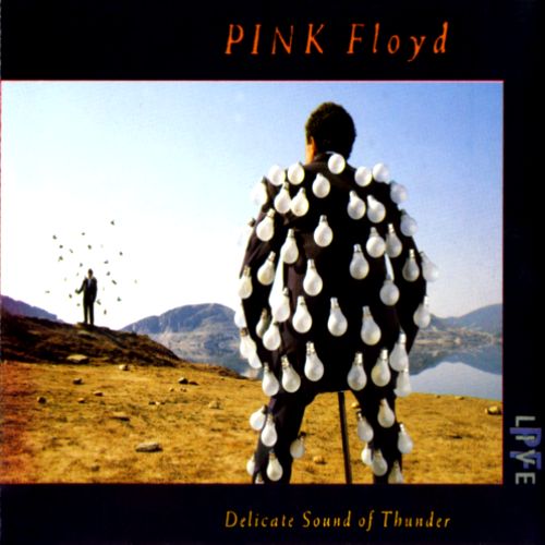 Pink Floyd – ‘Delicate Sound Of Thunder’ Album Review