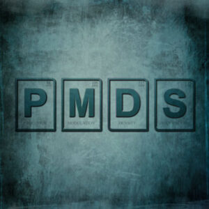 SonicAbuse | PMDS - Self Titled Album Review