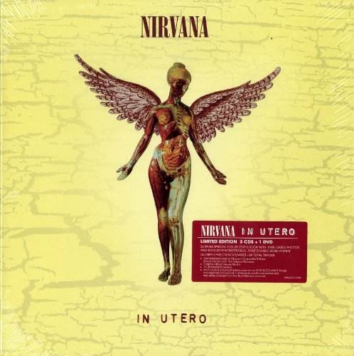 Nirvana – ‘In Utero’ Deluxe Re-issue Review