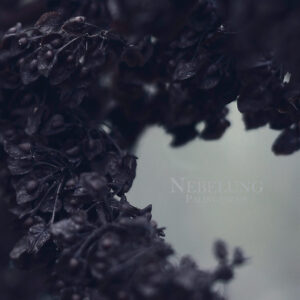 ToT020_Nebelung_Palingenesis_Cover