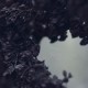 Nebelung – ‘Palingenesis’ Album Review