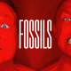 Fossils – ‘Flesh Hammer’ Album Review