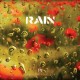 Freedom To Glide – ‘Rain’ Album Review
