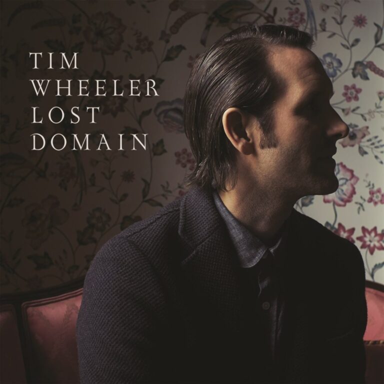 Tim Wheeler Lost Domain