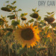 Dry Can – ‘Meanwhile’ Album Review