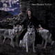 Steve Hackett – ‘Wolflight’ Album Review