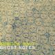 Veruca Salt – ‘Ghost Notes’ Double Vinyl Review