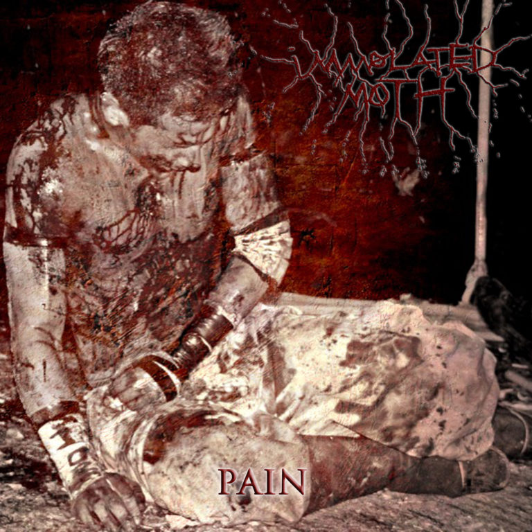 immolated moth pain cover smaller