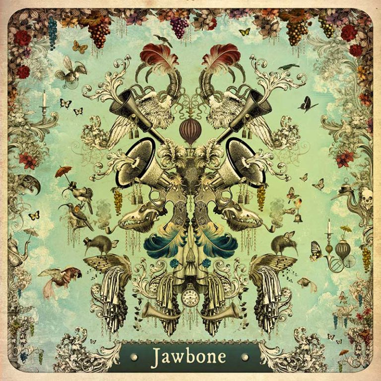 jawbone-cover-front