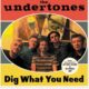The Undertones – Dig What You Need Review