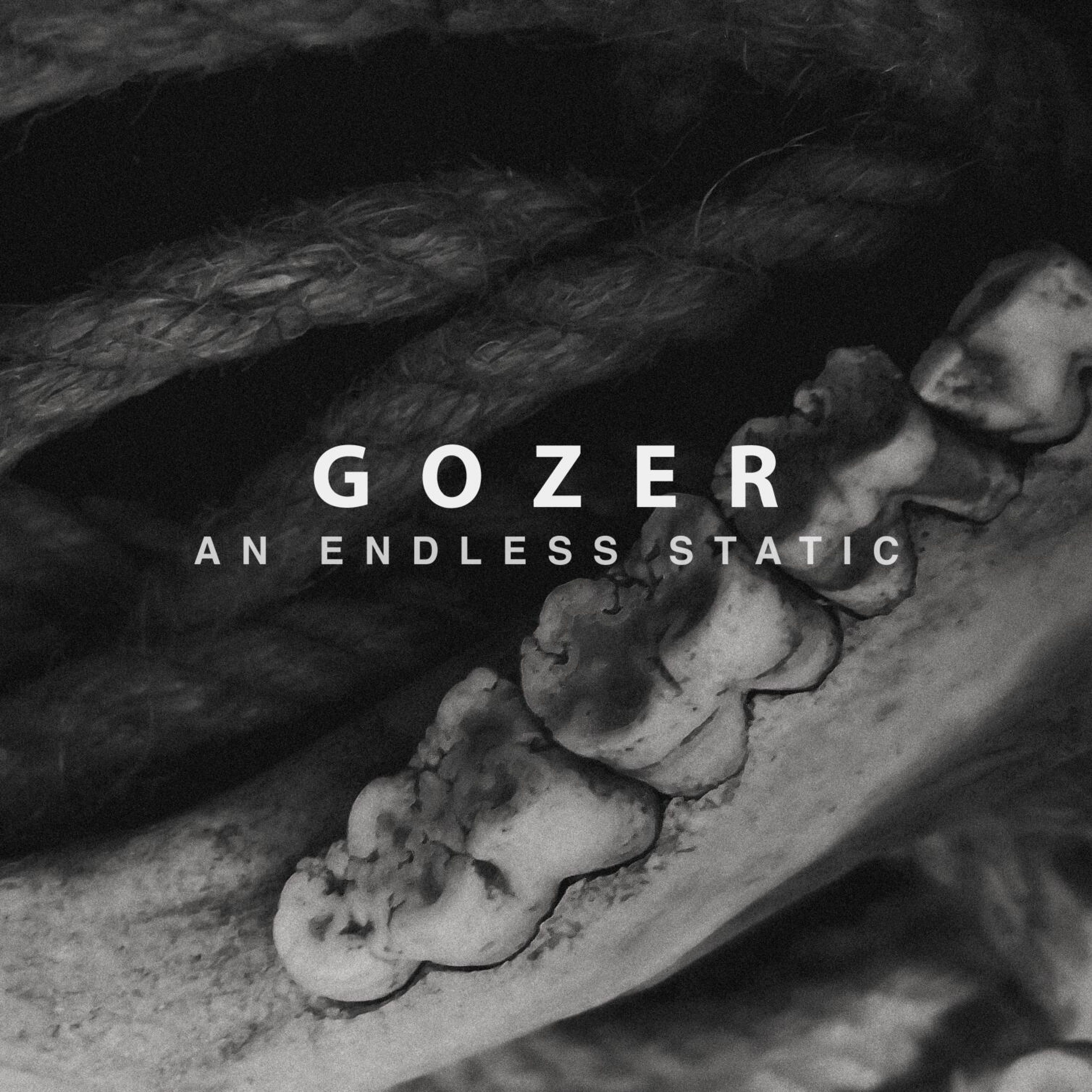 Gozer Announce “An Endless Static”