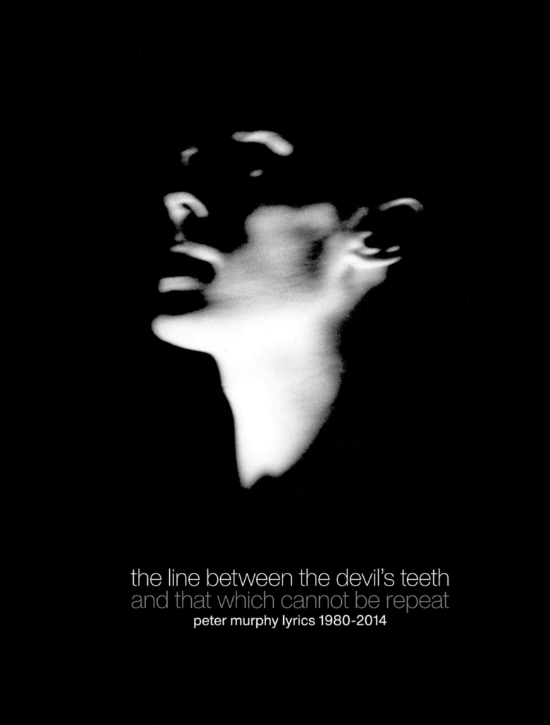 SonicAbuse: Peter Murphy / The Flood Gallery- "the line between the devil's teeth and that which cannot be repeat" Book Review