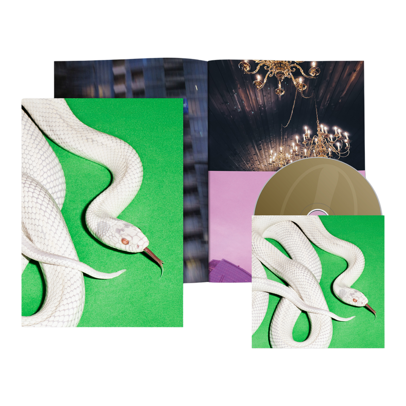 SonicAbuse | Deftones - Private Music Vinyl Review SonicAbuse | Deftones - Private Music Vinyl Review
