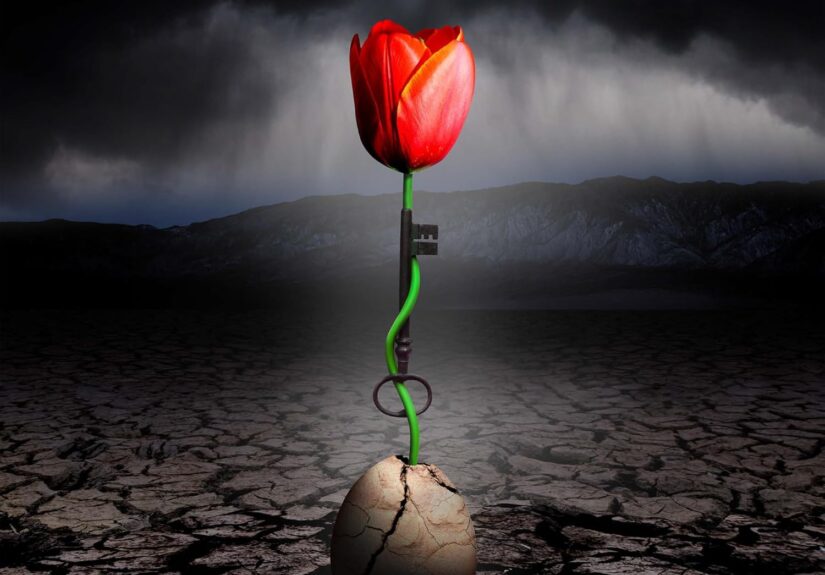 SonicAbuse|Spock’s Beard – The Archaeoptimist Album Review