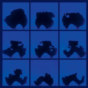 Birth (Defects) COVER