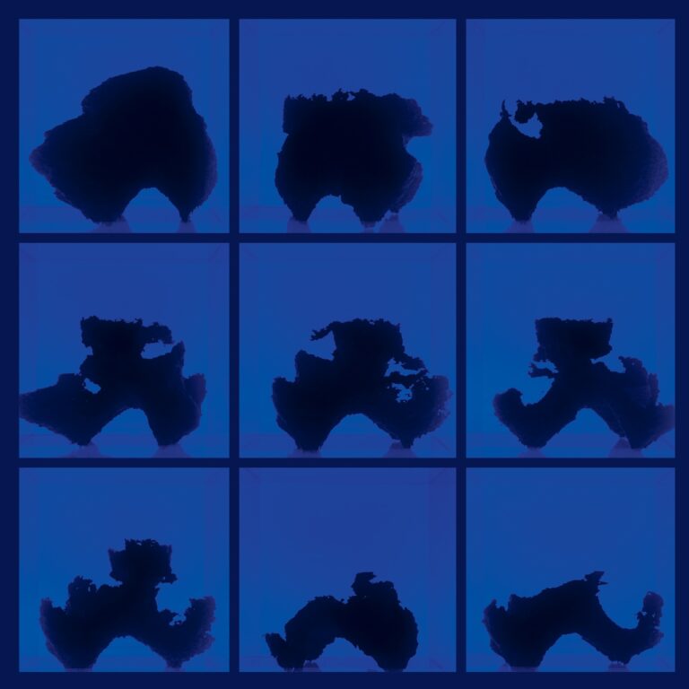 Birth (Defects) COVER