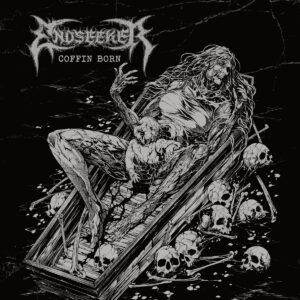 Endseeker