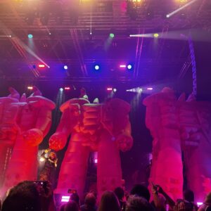 Flaming Lips 2026